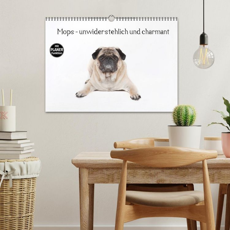 Produktbild: Mops - unwiderstehlich und charmant (Wandkalender 2026 DIN A3 quer), CALVENDO Monatskalender