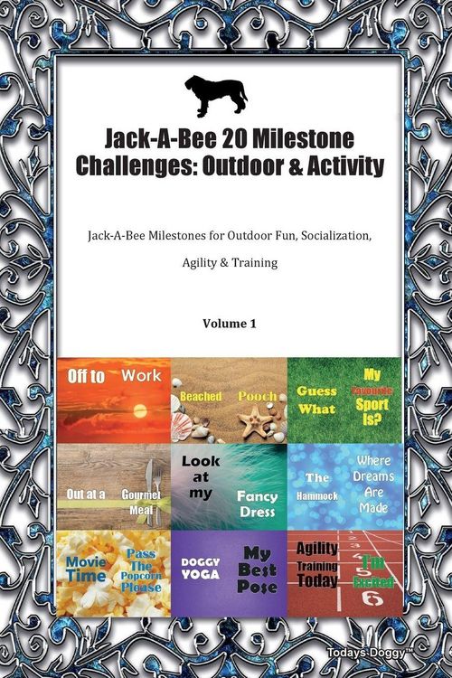 Produktbild: Jack-A-Bee 20 Milestone Challenges