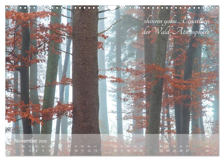 Produktbild: Shinrin yoku - Waldbaden 2026 (Wandkalender 2026 DIN A3 quer), CALVENDO Monatskalender