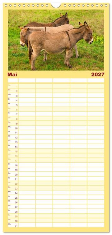 Produktbild: Familienplaner 2027 - Liebenswerte Esel mit 5 Spalten (Wandkalender, 21 x 45 cm) CALVENDO