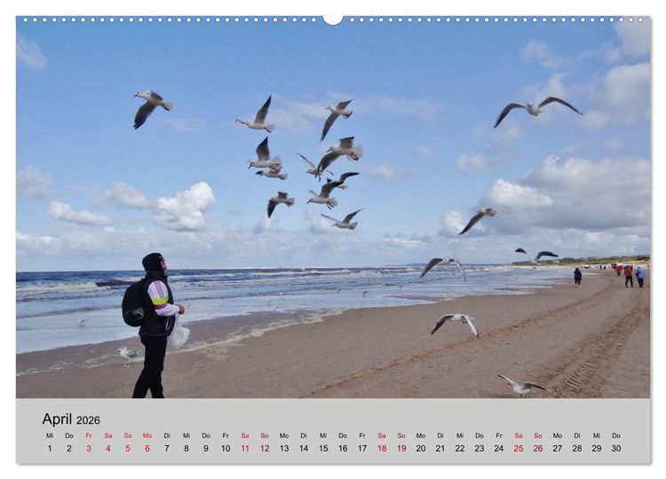 Produktbild: Ostsee von Heringsdorf bis Hiddensee (hochwertiger Premium Wandkalender 2026 DIN A2 quer), Kunstdruck in Hochglanz