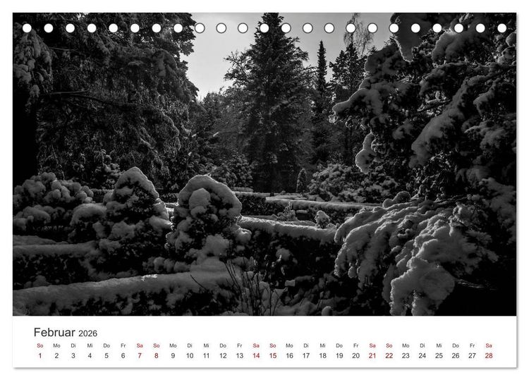 Produktbild: Wachgek&uuml;sst - Vom Zauber der Vergangenheit - S&uuml;dwestkirchhof Stahnsdorf (Tischkalender 2026 DIN A5 quer), CALVENDO Monatskalender