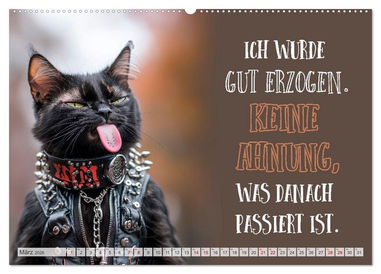 Produktbild: Schnurrige Gl&uuml;ckw&uuml;nsche - Spr&uuml;che zum &Auml;lterwerden (hochwertiger Premium Wandkalender 2026 DIN A2 quer), Kunstdruck in Hochglanz