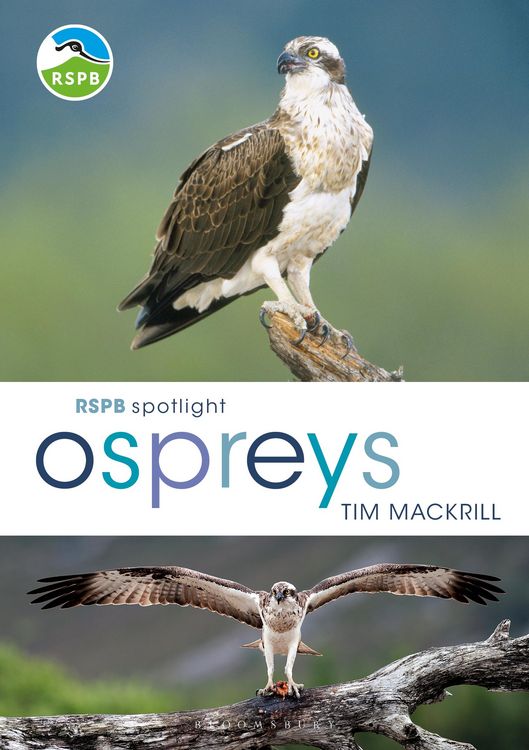 Produktbild: RSPB Spotlight Ospreys