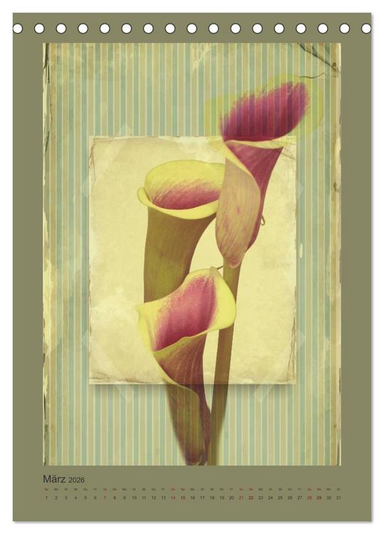 Produktbild: Vintage Style (Tischkalender 2026 DIN A5 hoch), CALVENDO Monatskalender