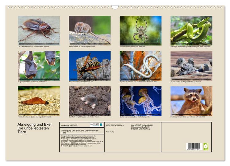 Produktbild: Abneigung und Ekel. Die unbeliebtesten Tiere (Wandkalender 2026 DIN A2 quer), CALVENDO Monatskalender
