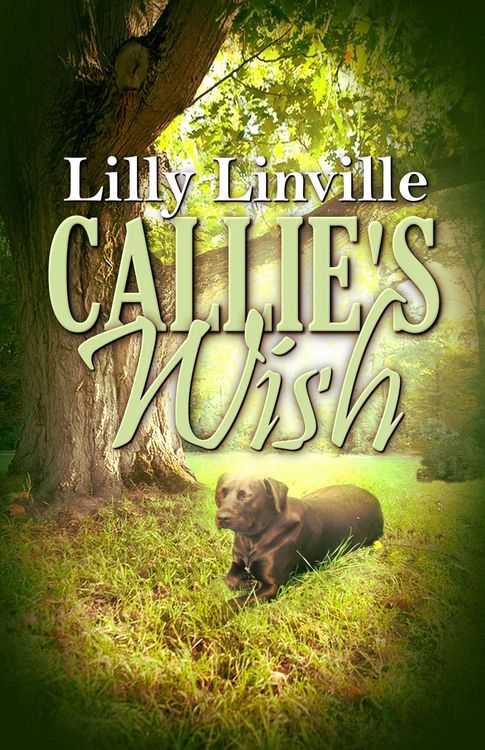 Produktbild: Callie's Wish
