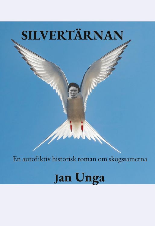 Produktbild: Silvert&auml;rnan