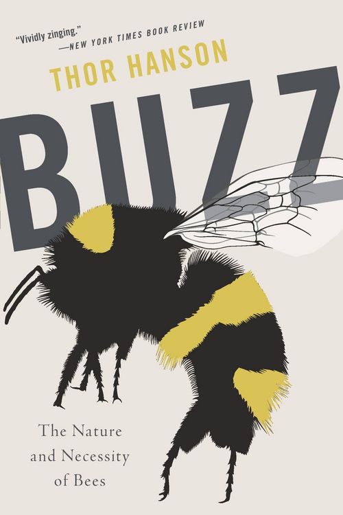 Produktbild: Buzz