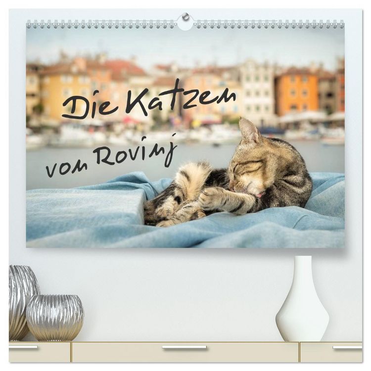 Produktbild: Die Katzen von Rovinj (hochwertiger Premium Wandkalender 2026 DIN A2 quer), Kunstdruck in Hochglanz
