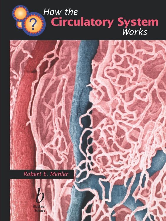 Produktbild: How the Circulatory System Works
