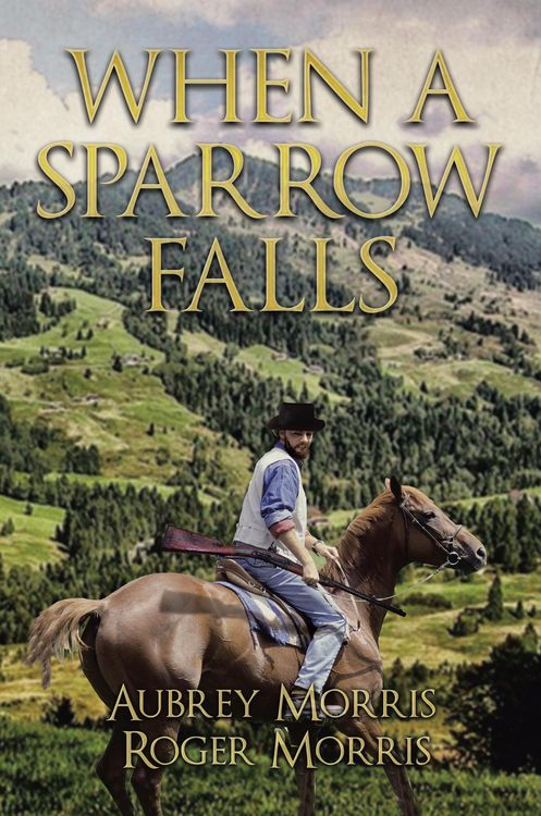 Produktbild: When a Sparrow Falls