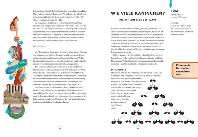 Produktbild: Fibonaccis Kaninchen