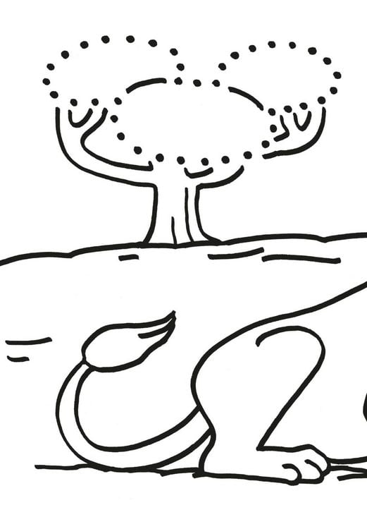 Produktbild: Mein erstes kleines Malbuch: Punkte-R&auml;tsel