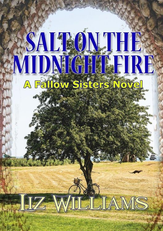 Produktbild: Salt on the Midnight Fire
