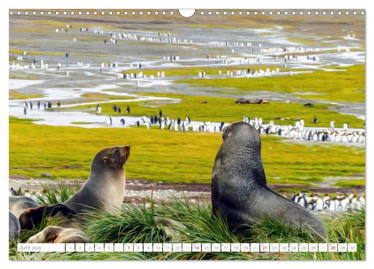 Produktbild: Antarktis - Das Reich der Pinguine (Wandkalender 2026 DIN A3 quer), CALVENDO Monatskalender