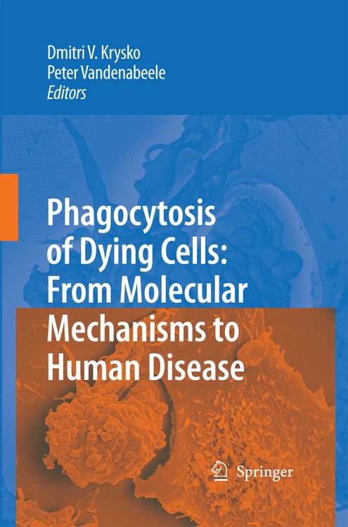 Produktbild: Phagocytosis of Dying Cells
