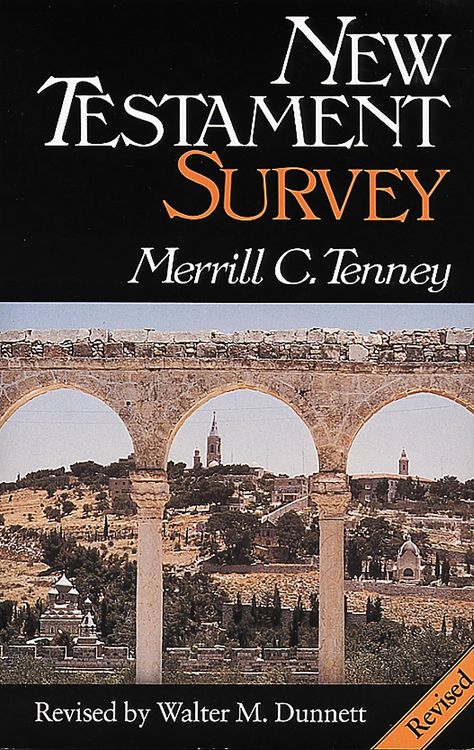 Produktbild: New Testament Survey