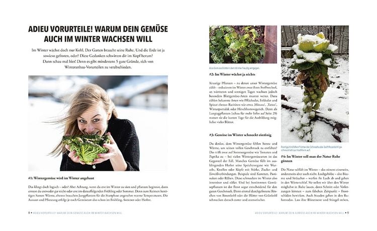 Produktbild: Das sensationelle Winterhochbeet