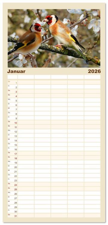 Produktbild: Familienplaner 2026 - Deutschlands Finken mit 5 Spalten (Wandkalender, 21 x 45 cm) CALVENDO