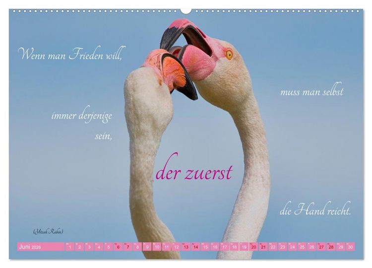 Produktbild: The Power Of Pink (hochwertiger Premium Wandkalender 2026 DIN A2 quer), Kunstdruck in Hochglanz