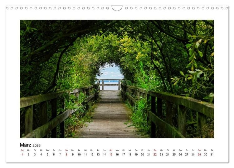 Produktbild: Steinhuder Meer Impressionen (Wandkalender 2026 DIN A3 quer), CALVENDO Monatskalender