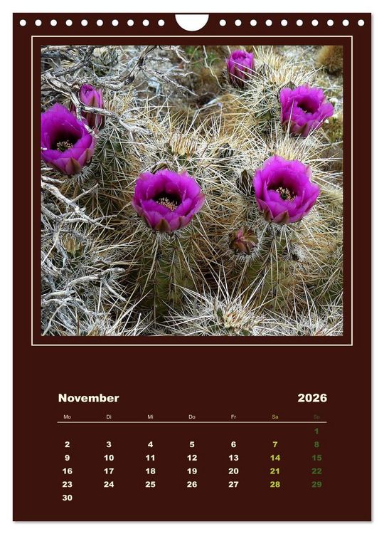 Produktbild: Wilde Kakteen Amerikas (Wandkalender 2026 DIN A4 hoch), CALVENDO Monatskalender