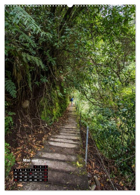 Produktbild: Levadas - Wasserwege auf Madeira (Wandkalender 2026 DIN A2 hoch), CALVENDO Monatskalender