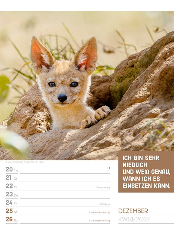 Produktbild: Tierisch Spr&uuml;chekalender Wochenplaner 2027