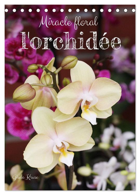 Produktbild: Miracle floral l'orchid&eacute;e (Calendrier de bureau 2026 DIN A5 horizontal), CALVENDO calendrier mensuel