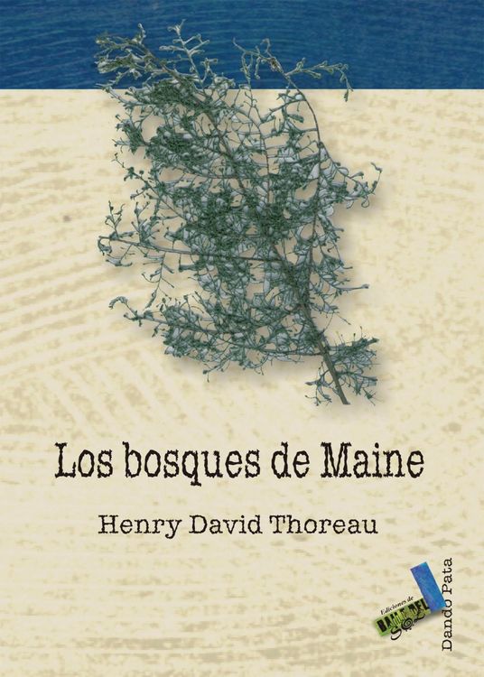 Produktbild: Los bosques de Maine