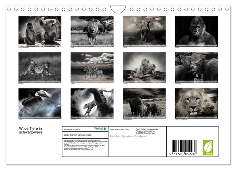 Produktbild: Wilde Tiere in schwarz-wei&szlig; (Wandkalender 2026 DIN A4 quer), CALVENDO Monatskalender