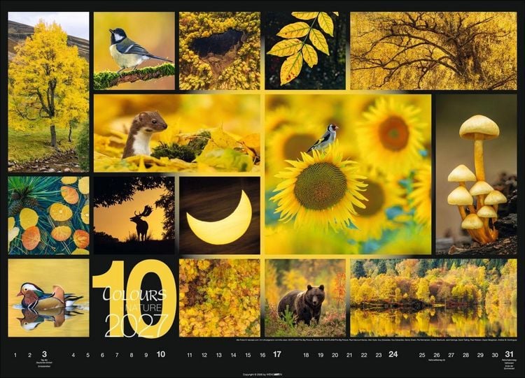 Produktbild: Colours of Nature Kalender 2027