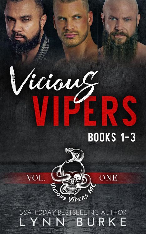Produktbild: Vicious Vipers: MC Romance Boxed Set Vol 1 (Vicious Vipers MC Romance Series)