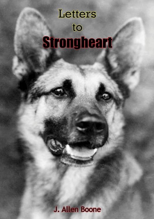 Produktbild: Letters To Strongheart