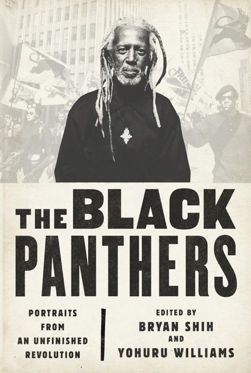 Produktbild: The Black Panthers