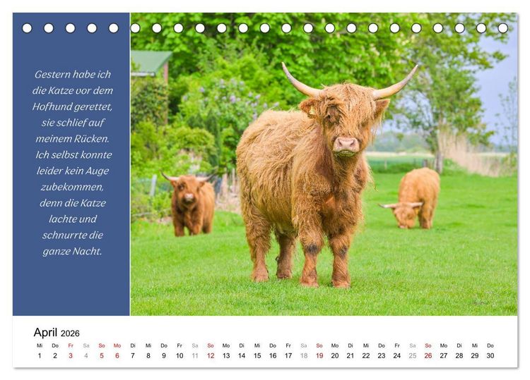 Produktbild: Tiere und feiner Humor (Tischkalender 2026 DIN A5 quer), CALVENDO Monatskalender