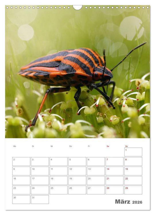 Produktbild: Helden in der Natur (Wandkalender 2026 DIN A3 hoch), CALVENDO Monatskalender