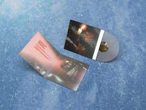 Produktbild: Risiko (Clear Vinyl)