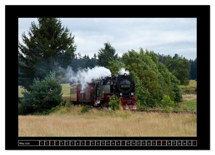 Produktbild: Steam Experience (Wall Calendar 2026 DIN A4 landscape), CALVENDO 12 Month Wall Calendar