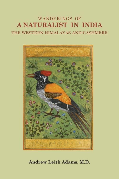 Produktbild: Wanderings of a Naturalist in India, the Western Himalayas and Cashmere