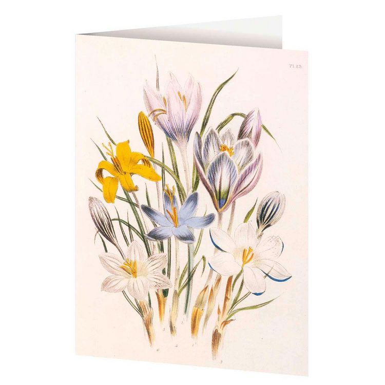 Produktbild: 4er-Set Doppelkarten &raquo;Blumengr&uuml;&szlig;e&laquo; mit Motiven von Jane C. Loudon
