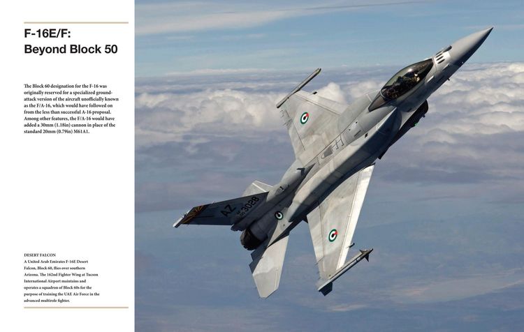 Produktbild: F-16 Fighting Falcon