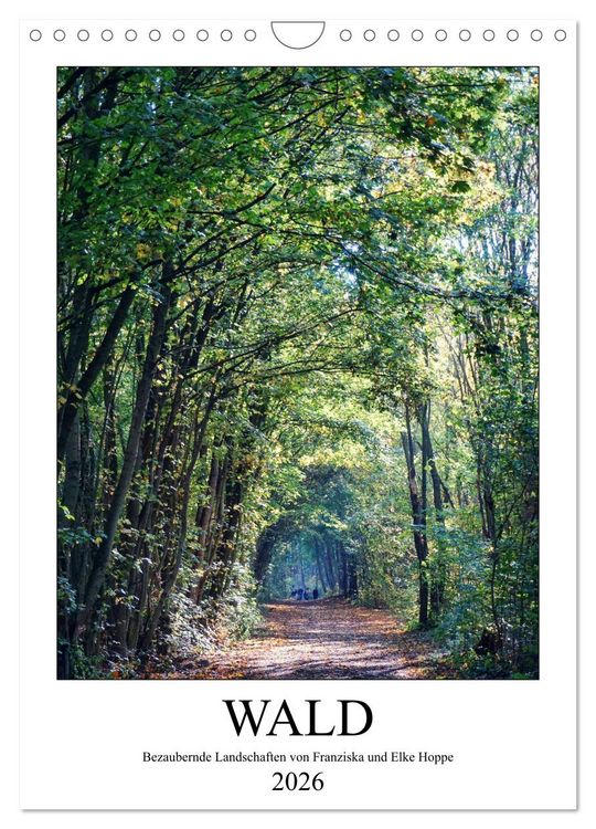 Produktbild: Wald - bezaubernde Landschaften (Wandkalender 2026 DIN A4 hoch), CALVENDO Monatskalender