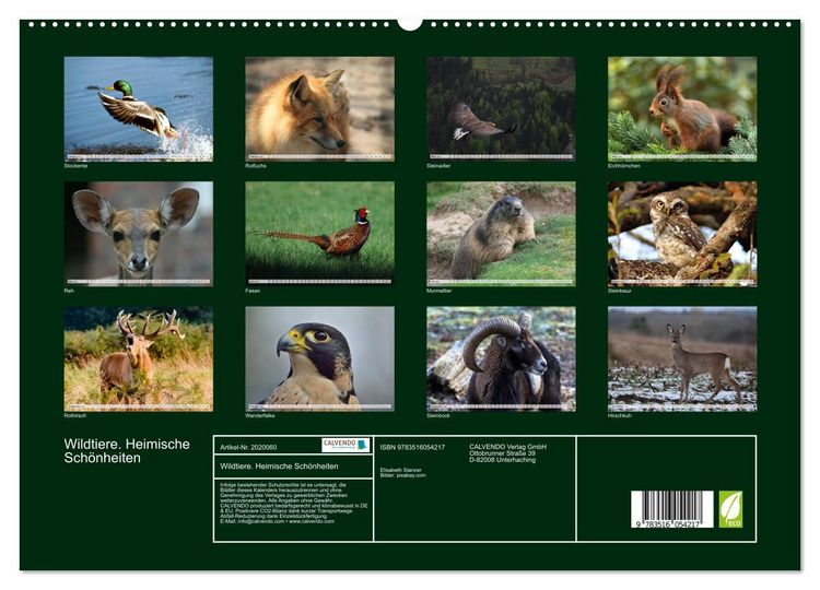 Produktbild: Wildtiere. Heimische Sch&ouml;nheiten (hochwertiger Premium Wandkalender 2026 DIN A2 quer), Kunstdruck in Hochglanz