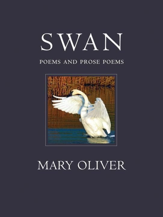 Produktbild: Swan