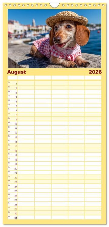 Produktbild: Familienplaner 2026 - Dackel auf gro&szlig;er Tour - S&uuml;&szlig;e Hunde entdecken die Welt mit 5 Spalten (Wandkalender, 21 x 45 cm) CALVENDO