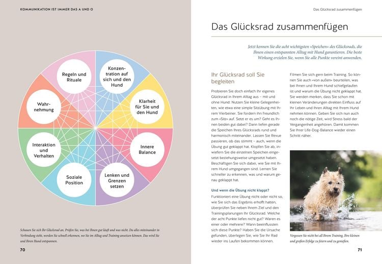 Produktbild: Life-Dog-Balance