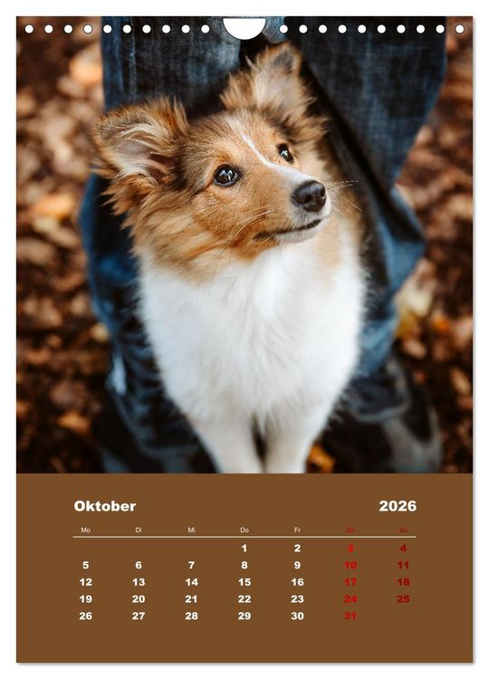 Produktbild: Du und ich - Dreamteamfotografie - Mensch und Hund (Wandkalender 2026 DIN A4 hoch), CALVENDO Monatskalender