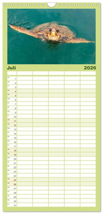 Produktbild: Familienplaner 2026 - Kefalonia Kleine Juwelen im Ionischen Meer mit 5 Spalten (Wandkalender, 21 x 45 cm) CALVENDO